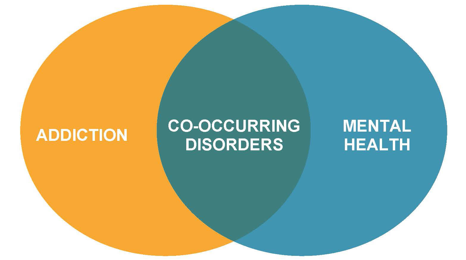 Co-occurring mental health and AOD Project | WAAMH