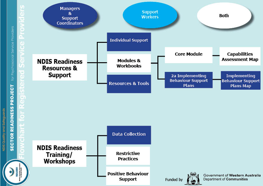 NDIS QSC Project Flowchart